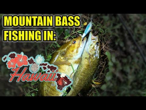 Is there bass fishing in Hawaii?