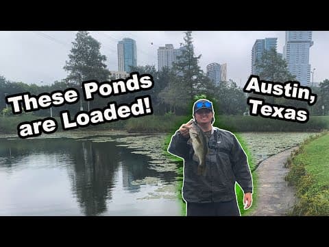 How can I catch a fish in Austin, Texas today?