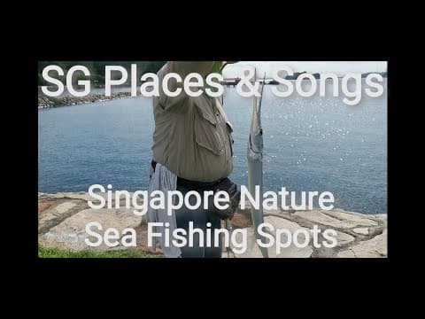 Where can I fish in Singapore?