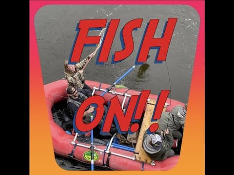 What fly fishing fly types should be avoided in August for Kenai rainbow trout?