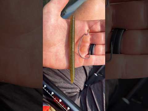 How can I catch big bass this spring?