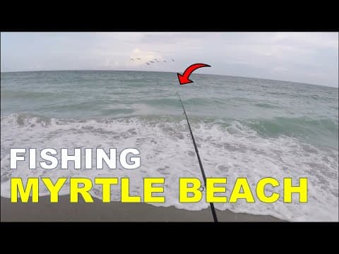 Where are the best public places to fish near Myrtle Beach?