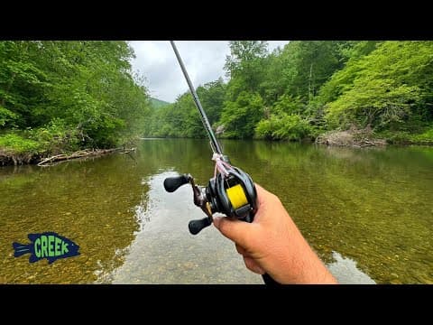 Can you show me the latest creek fishing video?