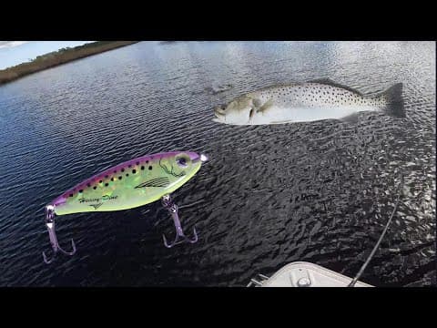 Where can I target speckled trout in eastern NC?