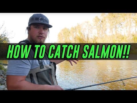 How do I catch salmon?