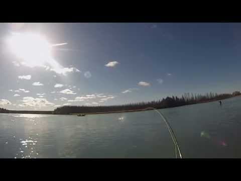 Is there a sweet spot single size and color for a scud pattern on the Kenai River in August?
