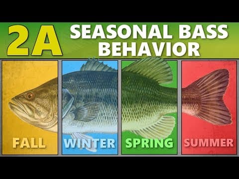 In San Diego, how should I fish for largemouth bass this time of year?