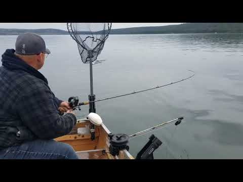 What is the fishing like at Puntzi Lake in early summer?