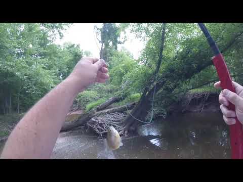 Where can I go fishing near Towson, MD?