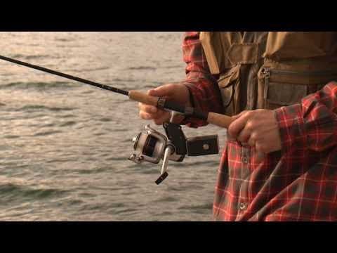 What is the Power Fish'n Hybrid Reel?