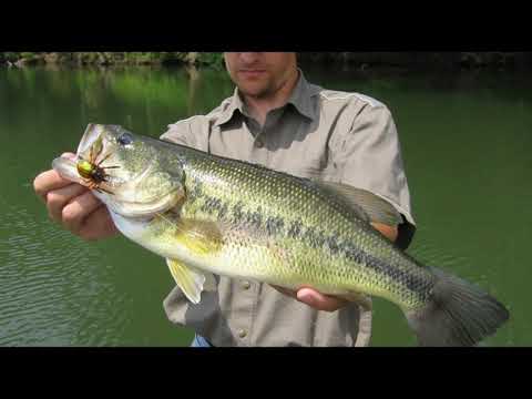 What is the best fishing spot in Maine?