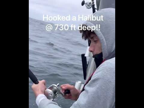 What are the best halibut fishing spots in Westport, Washington?