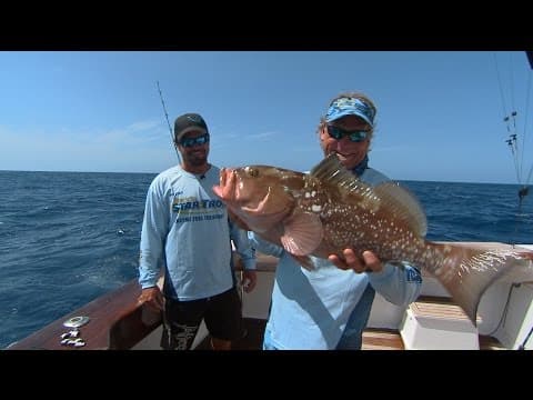 What lures should I use to fish for grouper and snapper?