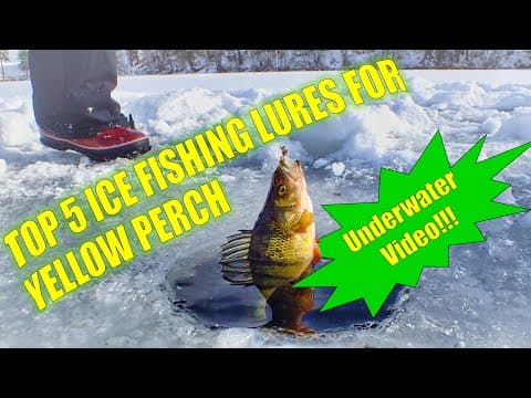 What is the top lure for perch in a shallow lake up to 2 meters deep?