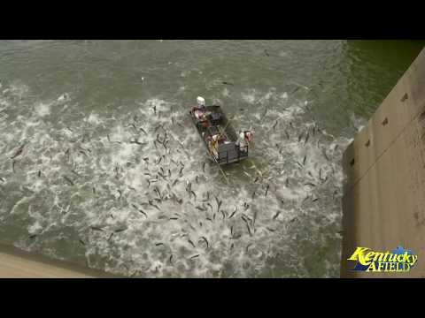What are the best fishing spots in Mississippi near Electric Mills?
