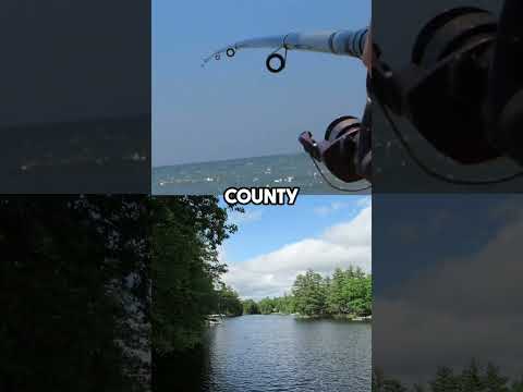 What are the best fish to catch in Massachusetts during spring?