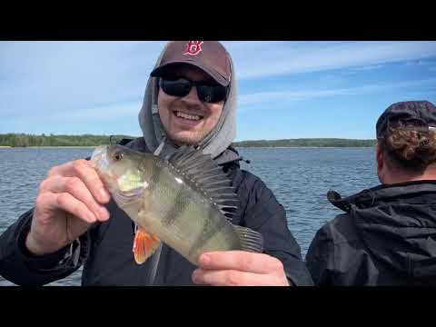 What are some tips for trout fishing in Vuoksi, Finland?