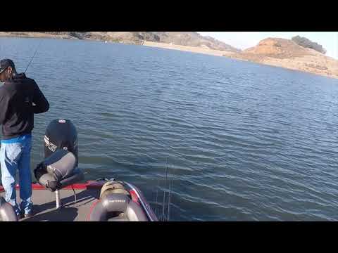 How do I fish Calero Lake for largemouth bass?