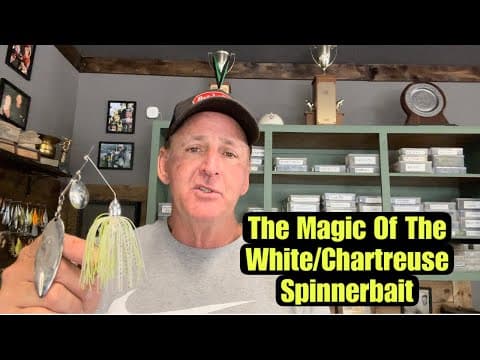 What are the best baits to put behind a chartreuse and white spinnerbait?