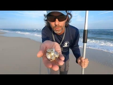 What can sand fleas catch on the shoreline?