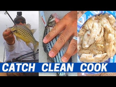 How do you catch fish at Canyon Lake, AZ in August?