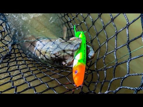 Can you make a list of 20 musky lures for musky fishing that match the colors of East PA's baitfish?