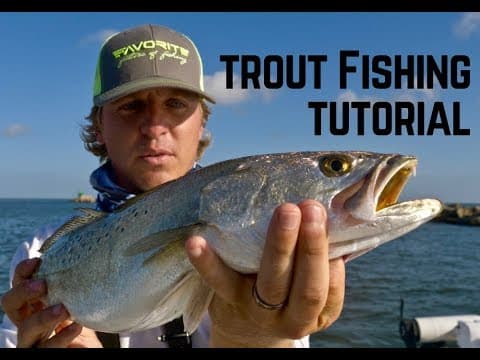 How can I catch sea trout?