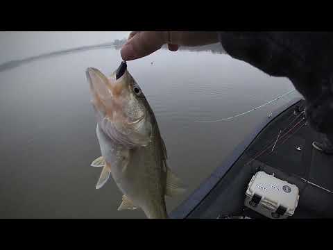 Is Lake Tobo in Macon, GA open for fishing in October?