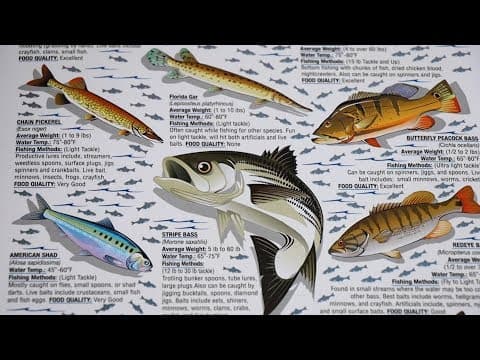 What is the best crawfish color to use in Alabama in 70 to 85 degree murky water?