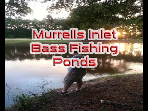 Where can I fish at public lakes near Myrtle Beach Travel Park?