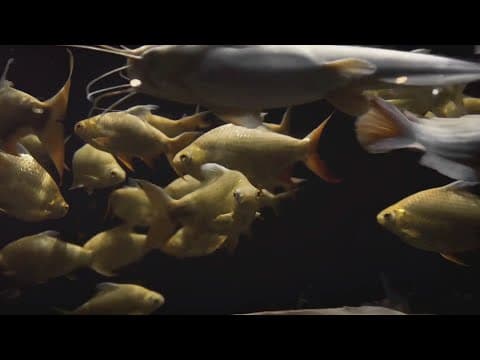 Do you know of any good fishing spots near Canton/Akron, Ohio?
