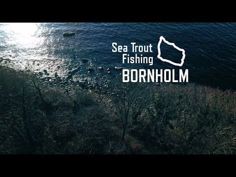 How can I successfully fish for sea trout on Bornholm?