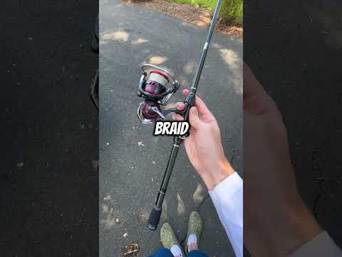 What's the best go-to rod for bass?