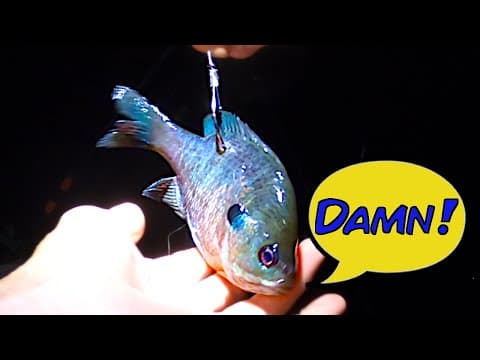 What are some tips for catching catfish on Bull Shoals Lake in Arkansas?