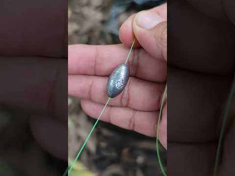 When livebaiting, what weight lead should I use on a sliding float setup?