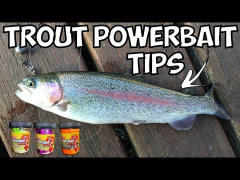 What is the best way to trout fish with bait?