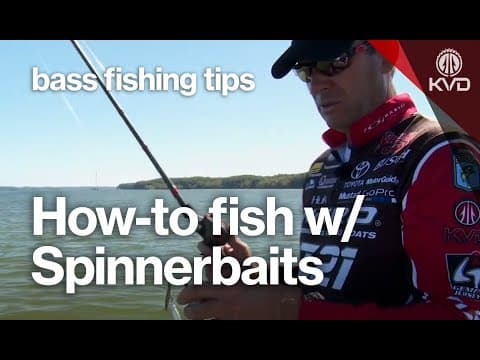 What bait should I put behind my spinnerbait?