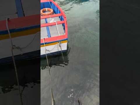 What is the best fishing spot in Valverde, Italy?