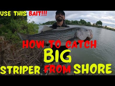 Where is the best bass fishing in Sacramento, CA?