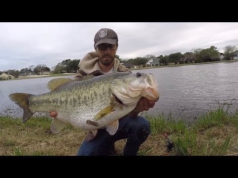 What's the biggest bass ever caught?