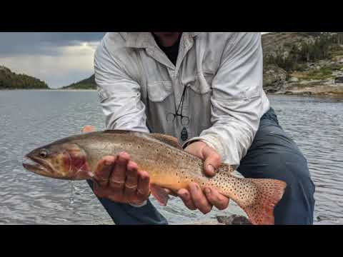 What do you know about Meek River fishing in Chile?