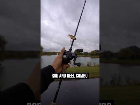 What spinning combo should I get that is under $65 and is a 7' medium rod?
