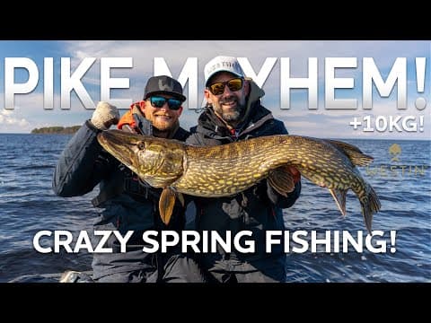 Where do I find big pike in Sweden during the spring?