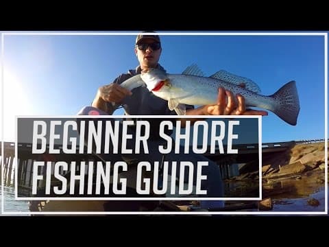 What can live saltwater minnows catch on the shoreline?