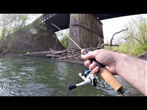 How do I catch trout using spinners?