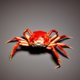 Crab