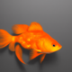 Goldfish