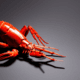 Lobster