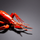 Lobster
