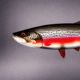 Trout